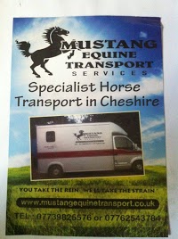 Mustang Equine Transport 247691 Image 3